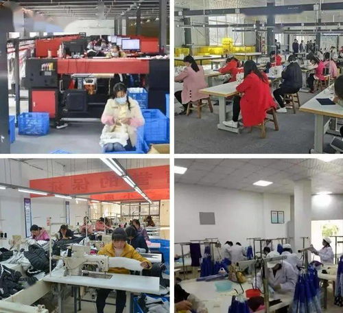 山阳县宁陕劳务协作服务中心揭牌 校企合作共促就业新篇章